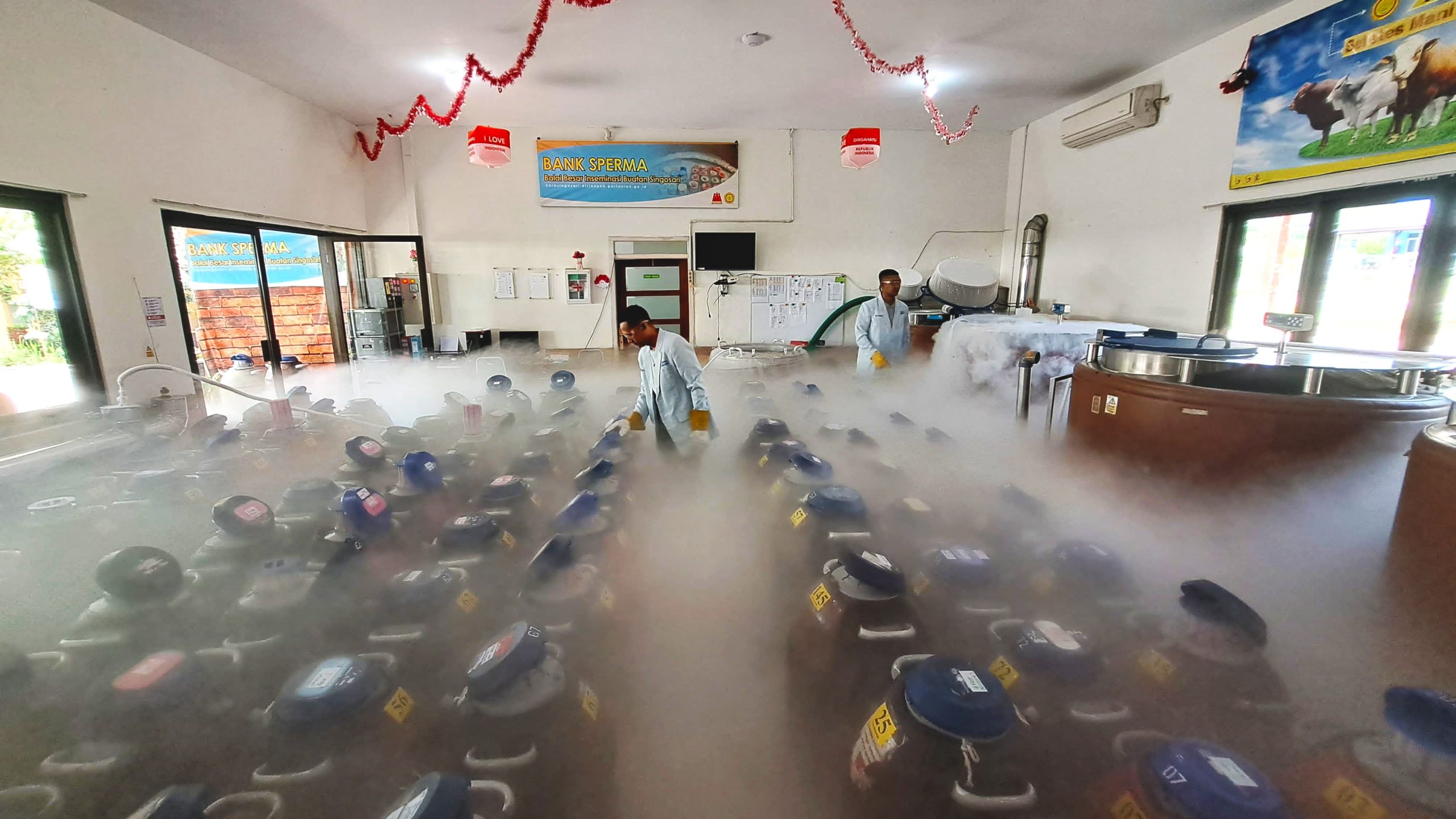 Kementan Buka Layanan Deposit Semen Beku, Perkuat Produksi Ternak Nasional