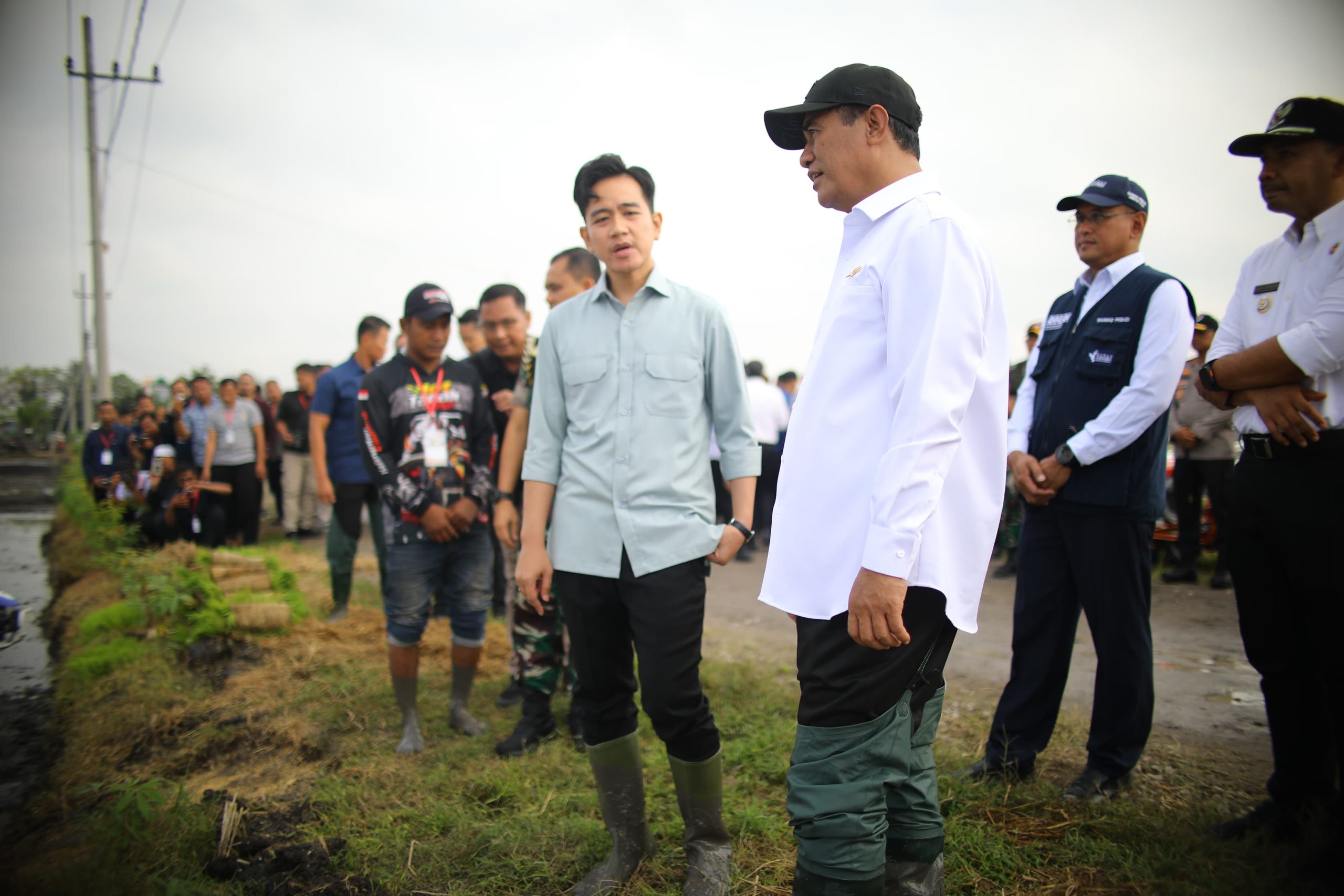 Stok Beras Tembus 3,9 Juta Ton, Wapres Gibran: Ini Capaian Tertinggi Sepanjang Sejarah