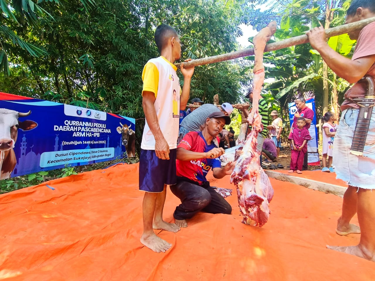 ARM HA-IPB Salurkan 245 Paket Kurban untuk Kampung Cipendawa, Sukajaya