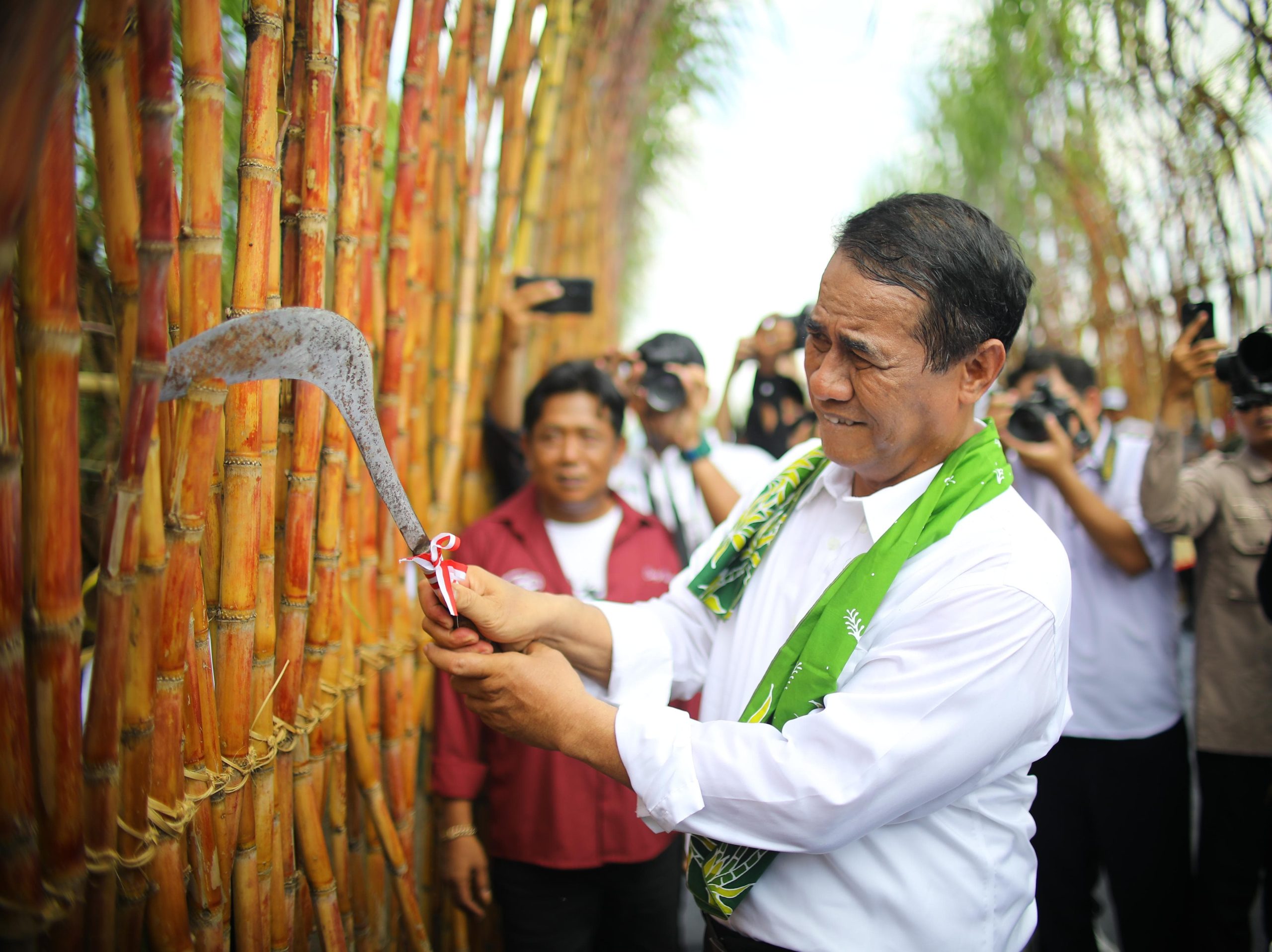 Mentan Amran Bebarkan 6 Strategi Kunci Capai Swasembada Gula Nasional