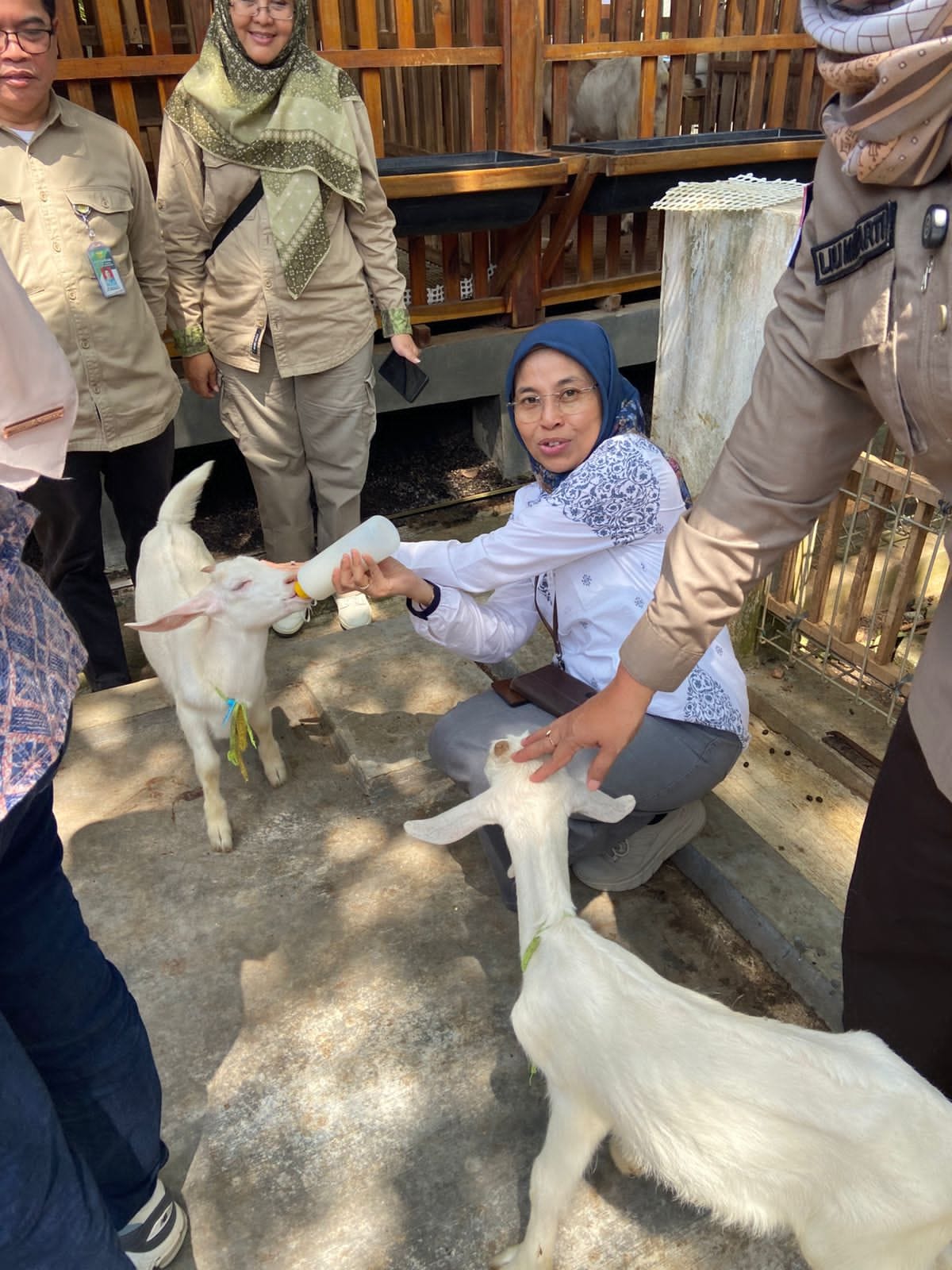 Kementan Kawal Ketat Penyembelihan Hewan Dam dan Hadyu di Tiga Rumah Potong Hewan