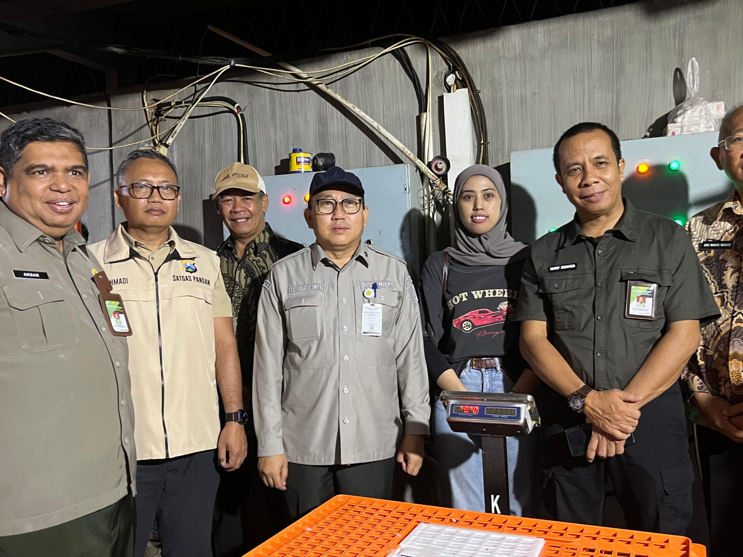 Kementan Tindak Tegas Pelanggar Komitmen Harga Ayam Hidup