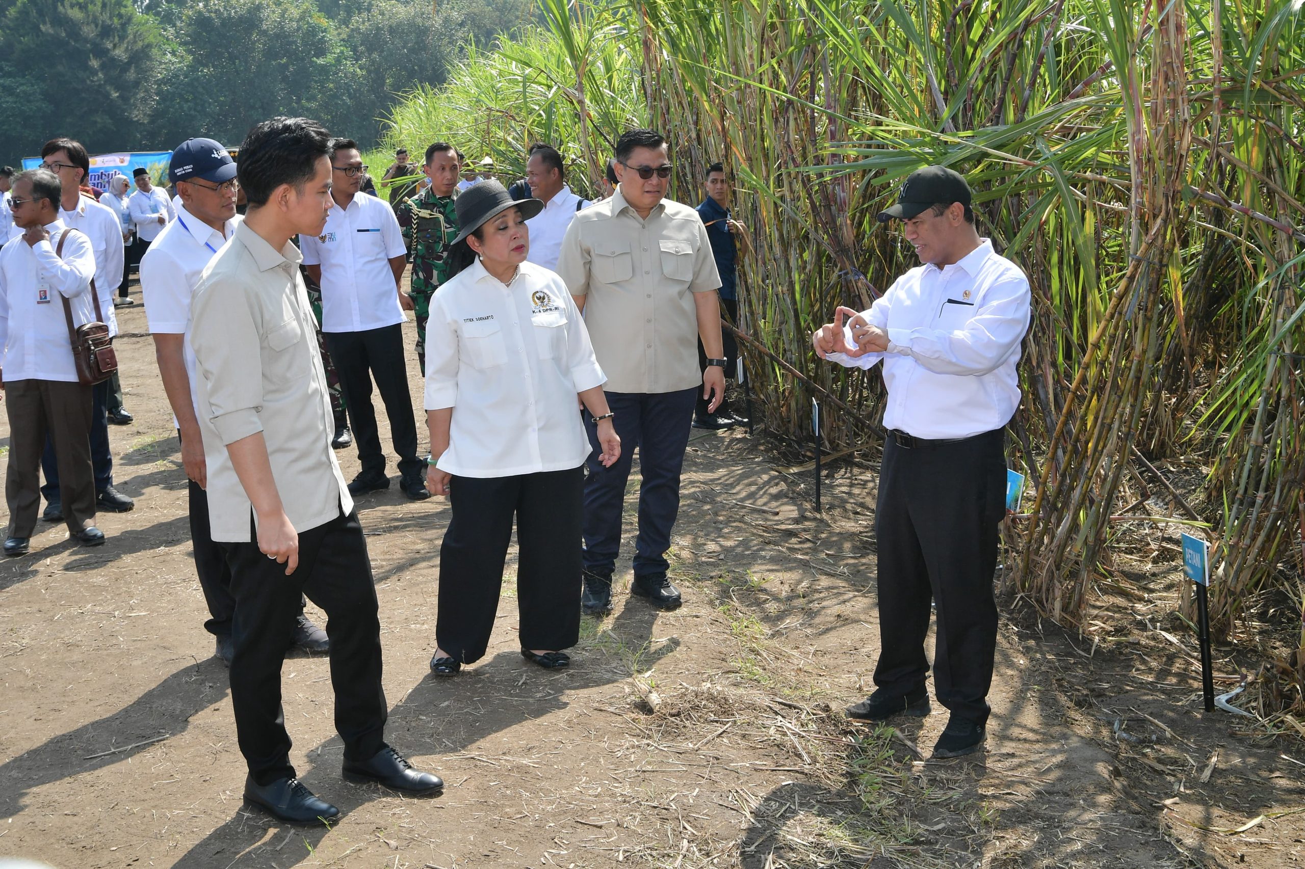 Wapres Gibran dan Mentan Amran Dorong Akselerasi Swasembada Gula dari Yogyakarta