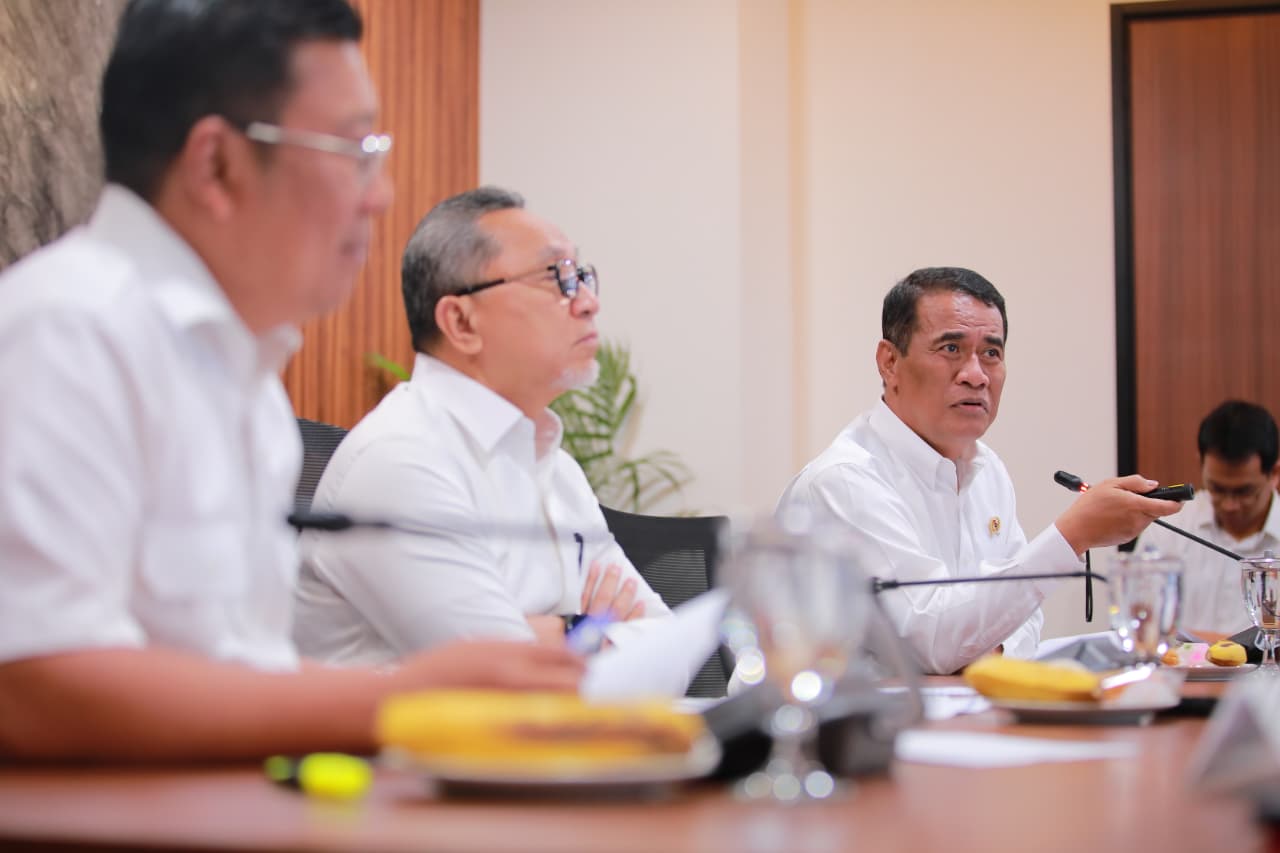 Mentan Amran: Pergeseran Struktur Pasar Beras Untungkan Pedagang dan Penggilingan Kecil