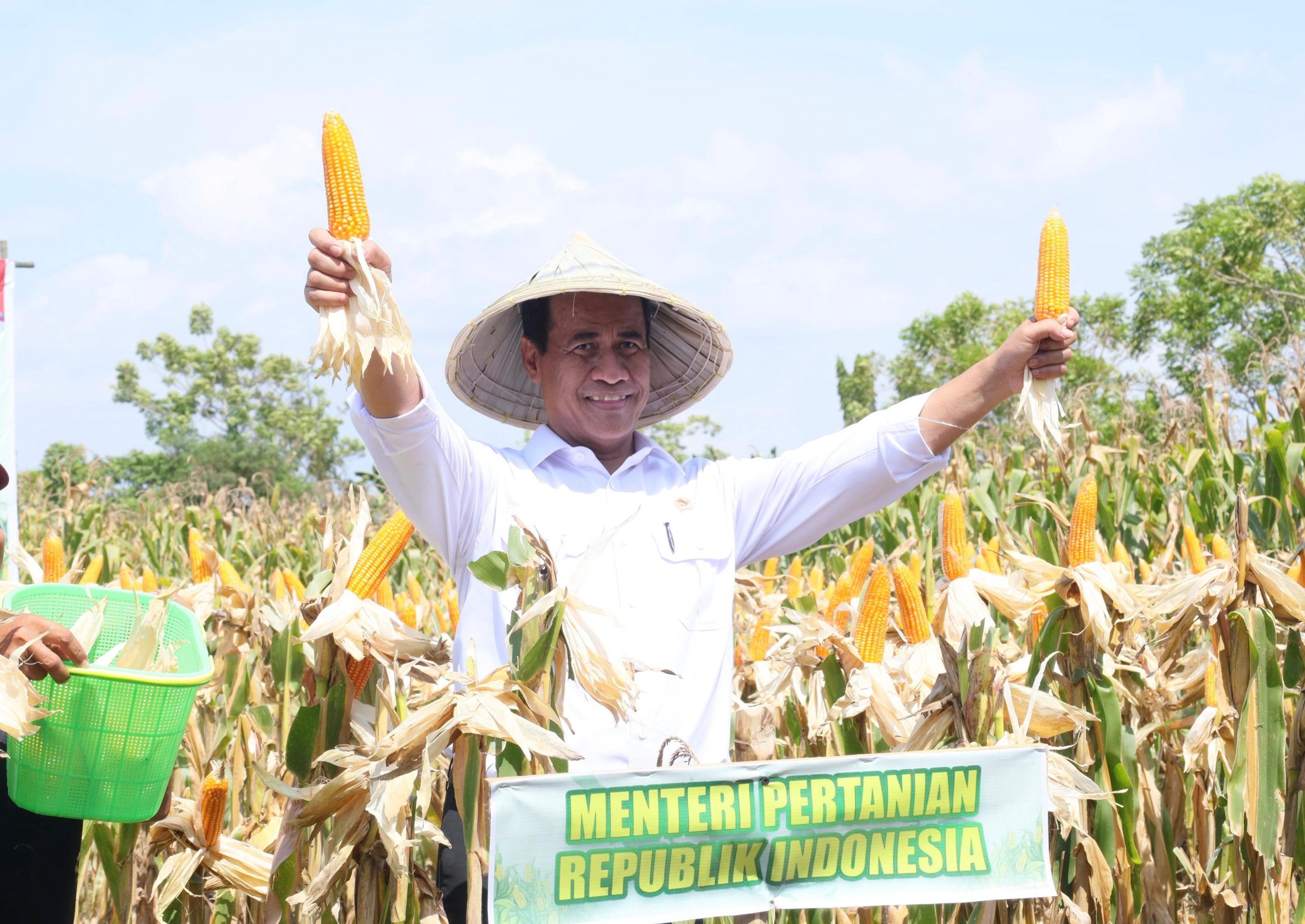 Panen Raya Jagung Serentak Jadi Momentum Percepatan Swasembada Pangan