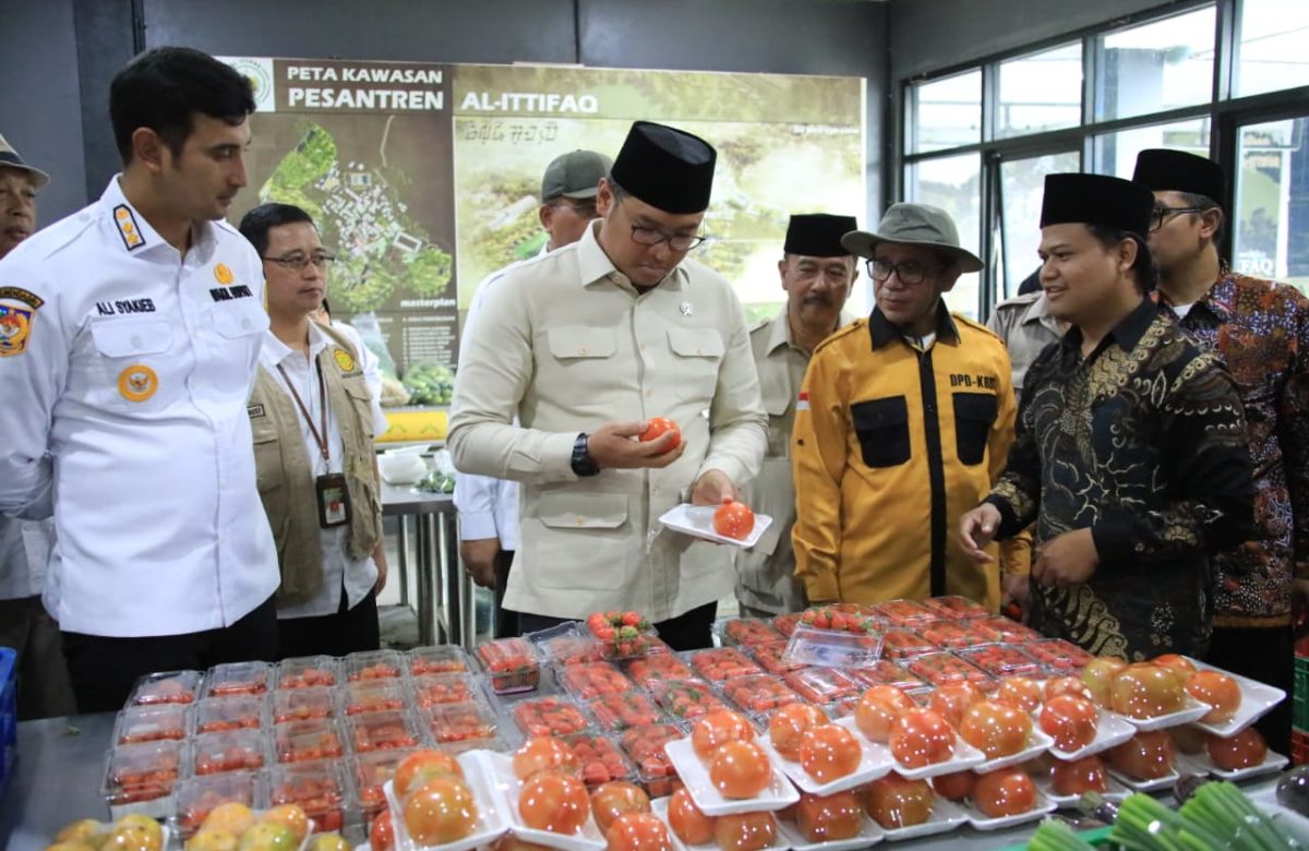 Sudaryono Bongkar Peta Jalan Kemandirian Pangan Nasional, Ini Strategi Besar Kementan!