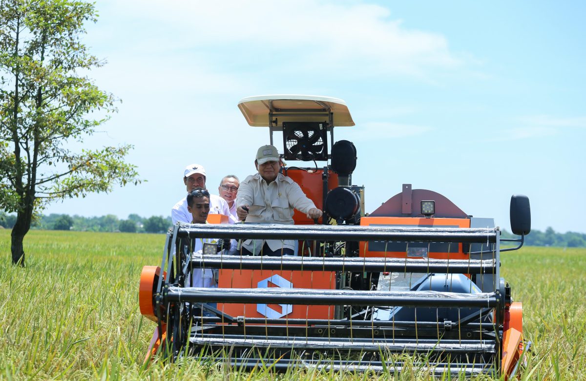 Kebijakan Pertanian Era Presiden Prabowo Dinilai Stabil, Petani Merasa Lebih Tenang Dan Produkti