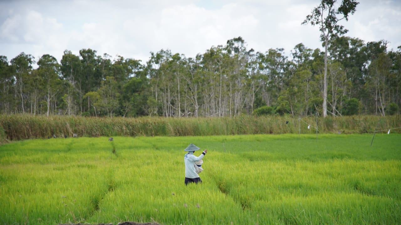 Sekjen HKTI: Kebijakan Presiden Prabowo Turunkan Harga Pupuk Berdampak Langsung ke Petani
