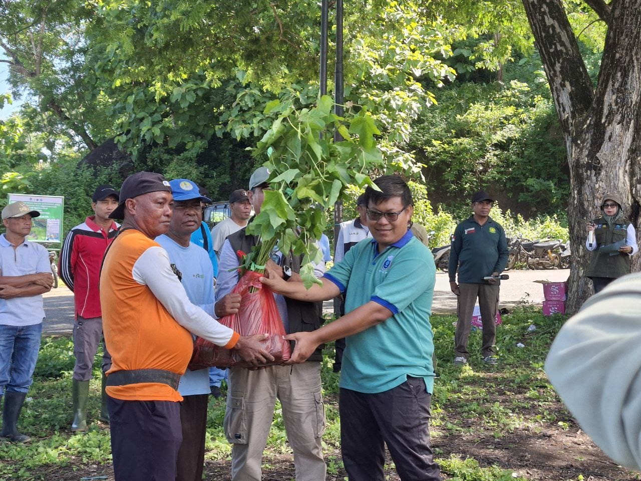 ALUMNI IPB BIMA DOMPU DAN ARM HA-IPB RESMIKAN DEMPLOT 10 HEKTARE UNTUK REHABILITASI LAHAN AREA TANGKAPAN AIR DI AREA PENGELOLAAN HUTAN MARIA DONGGO MASA