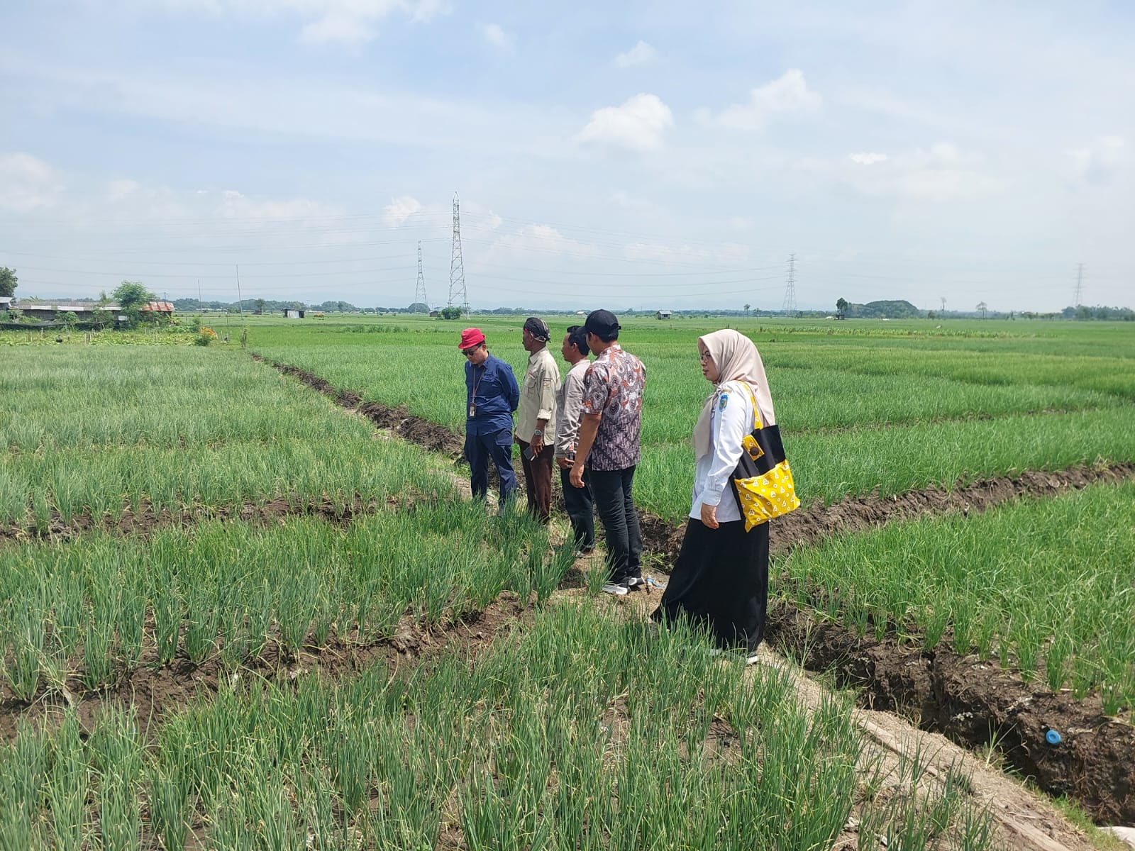 Nganjuk Panen Raya, Pemerintah Yakin Stok dan Harga Bawang Merah Stabil Hingga Lebaran 2026