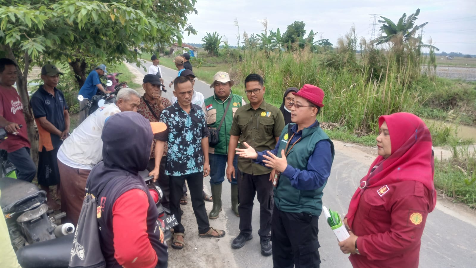 Kementan Sigap Pulihkan Sentra Hortikultura Pascabencana di Sumatera