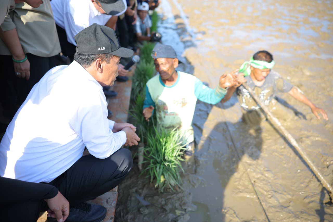 Rehabilitasi 98.000 Hektar Sawah Pascabencana di Sumatera, Mentan Amran: Ini Tanggung Jawab Negara