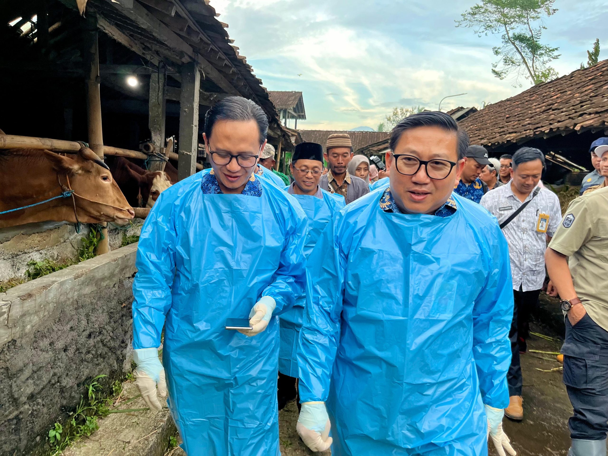 Vaksinasi Rutin Diperkuat, Kementan Jaga Usaha Peternak dari Ancaman PMK