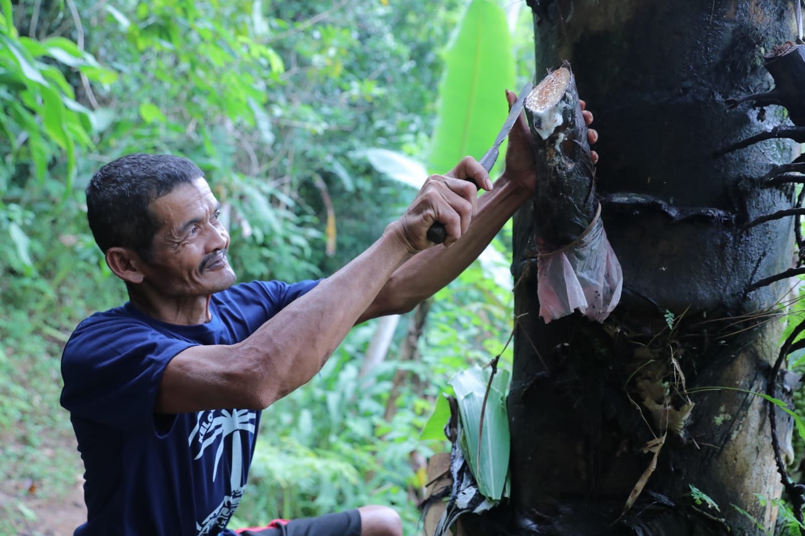 *Manisnya Gula Aren Organik Pacitan Tembus Pasar Eropa hingga Australia