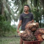 Genjot Hilirisasi, Sawit Jadi ‘Miracle Crop’ Andalan RI di Pasar Global