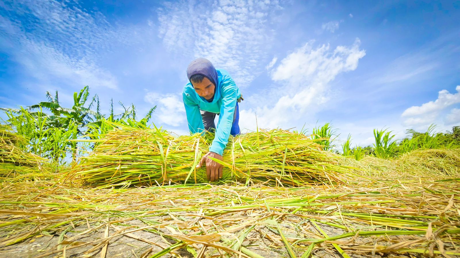 BPS Catat NTP Februari 2026 Tembus 125,45, Mentan Amran: Cetak Rekor Baru