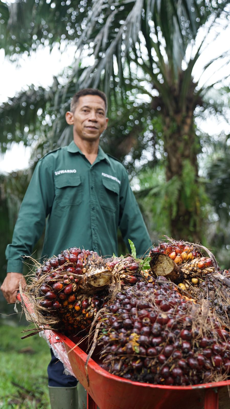 Kementan Pastikan Produksi CPO 2026 Aman untuk Pasokan Minyak Goreng Jelang Idulfitri 1447 H