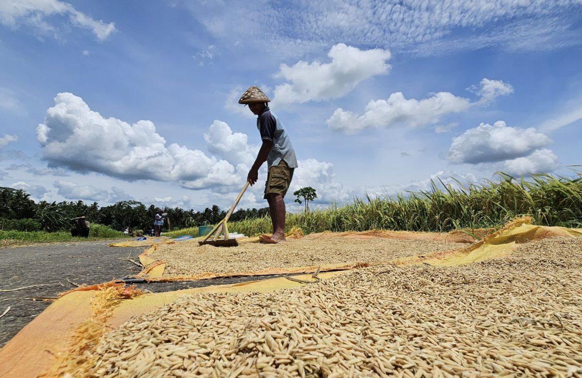 Mentan Amran Rapat Hari Minggu Antisipasi Kekeringan dan Ketegangan Geopolitik