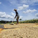 Mentan Amran Rapat Hari Minggu Antisipasi Kekeringan dan Ketegangan Geopolitik