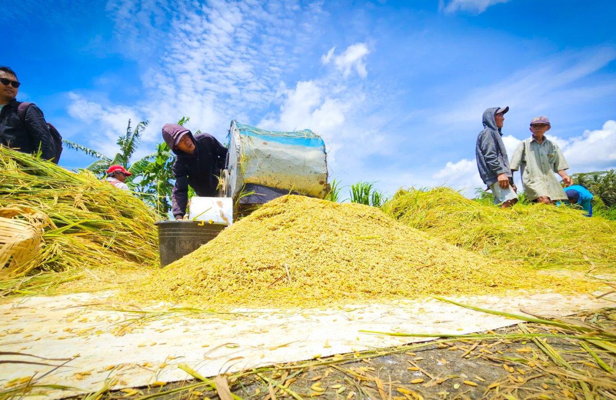 Mentan Amran Rapat Hari Minggu Antisipasi Kekeringan dan Ketegangan Geopolitik