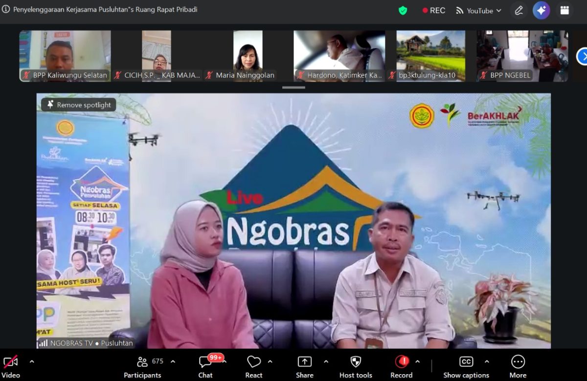 Tingkatkan Ketahanan Pangan, Kementan Dorong Peran Strategis Peternak Telur