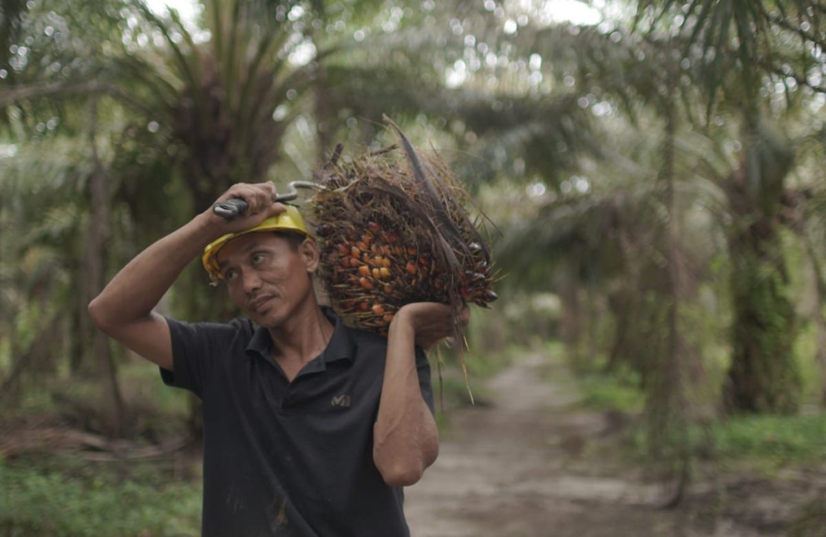 Ekspor CPO Menguat, Nilai Tembus US$4,69 Miliar di Awal Tahun 2026