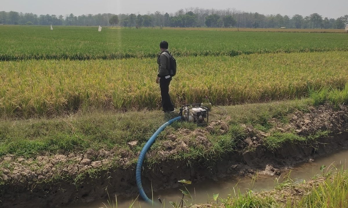 Potensi Kekeringan Menguat, Kementan Dorong Optimalisasi Pompa Air