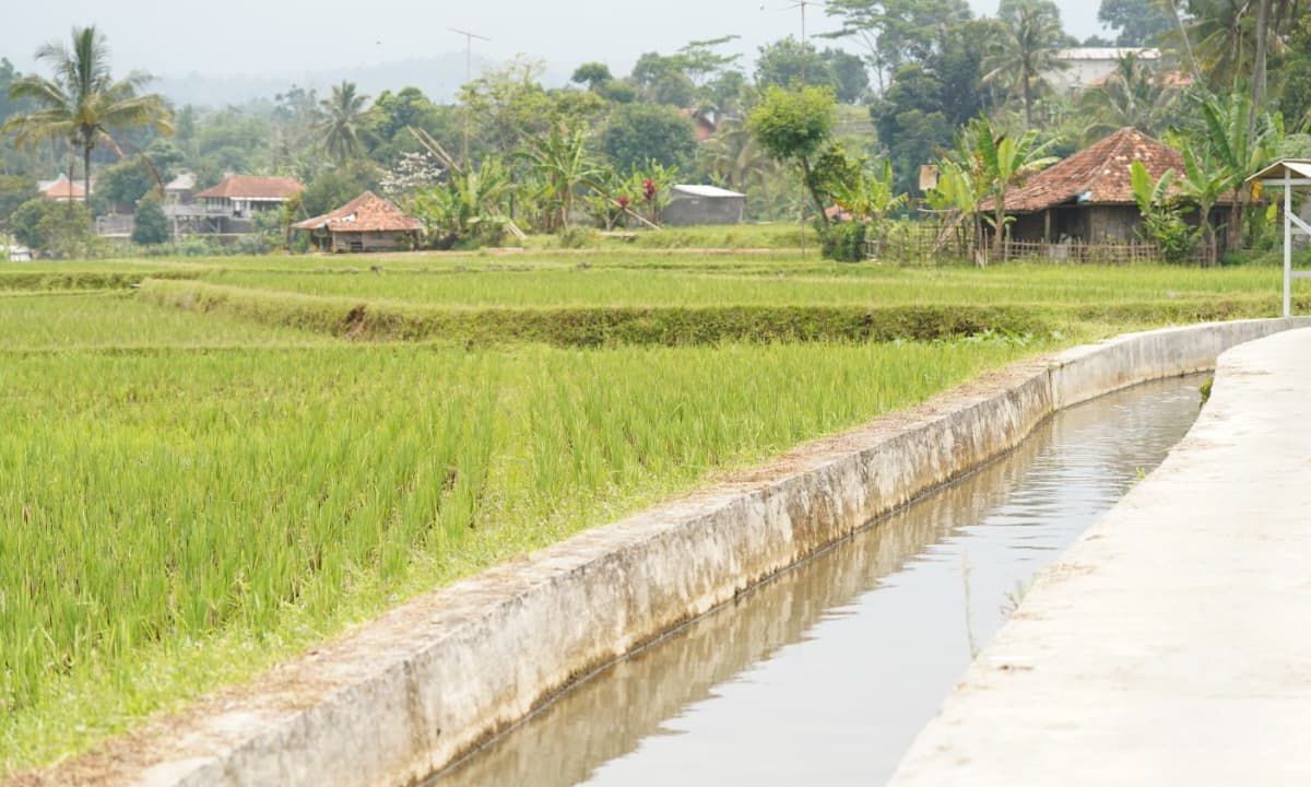 Mentan Amran: Percepat Lima Strategi Utama Mitigasi Kekeringan Hadapi El Nino