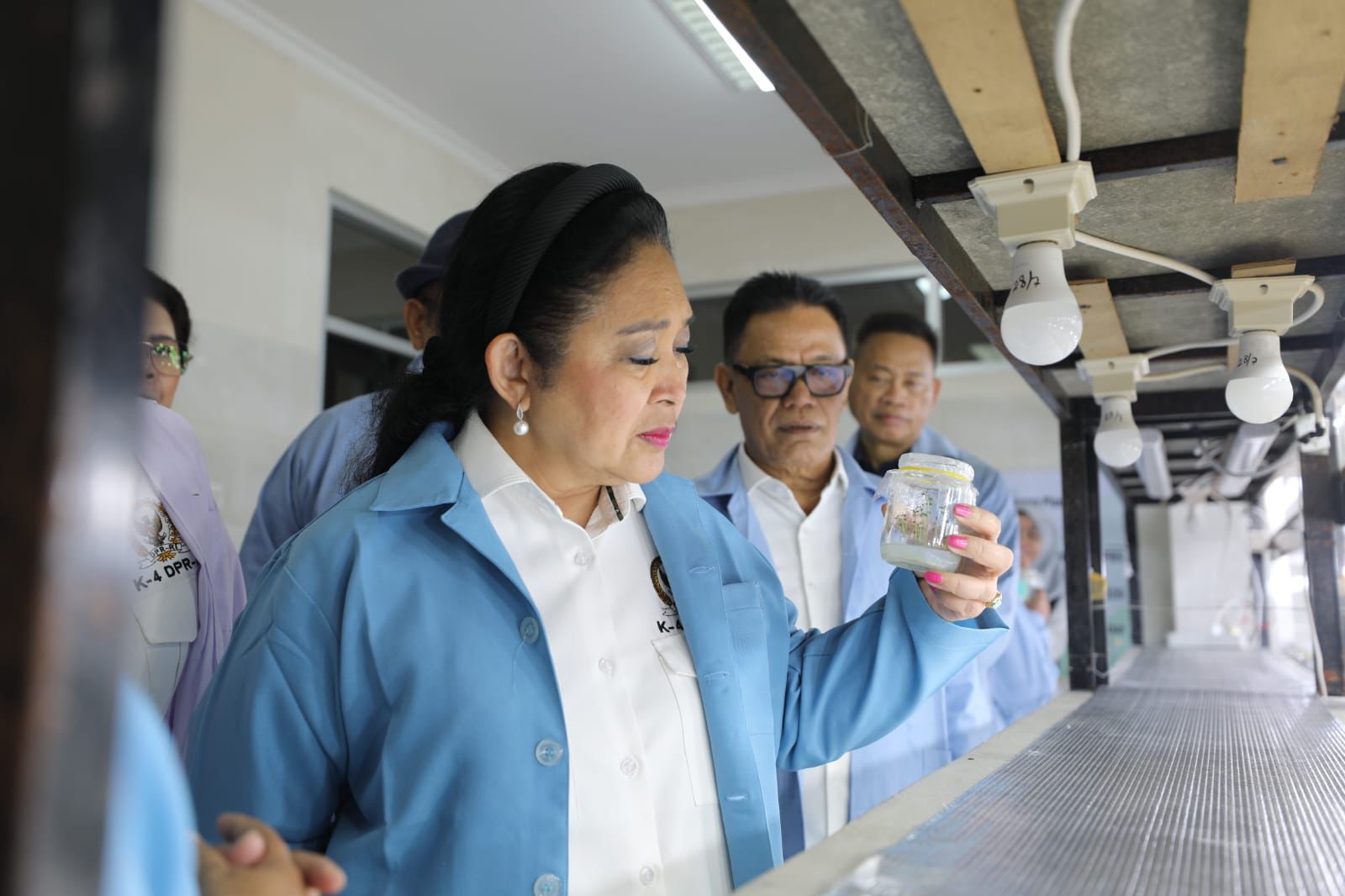 Kementan Perkuat Perbenihan Bawang Putih, DPR RI Dukung Peningkatan Produksi Dalam Negeri