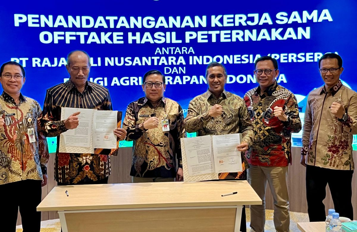 Kementan Kawal Hilirisasi Ayam di Sulsel, Tegaskan MoU Harus Berujung Aksi Nyata