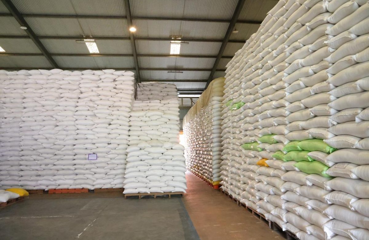 Dunia Waswas Krisis Pangan, Indonesia Justru Catat Rekor CBP 4,7 Juta Ton