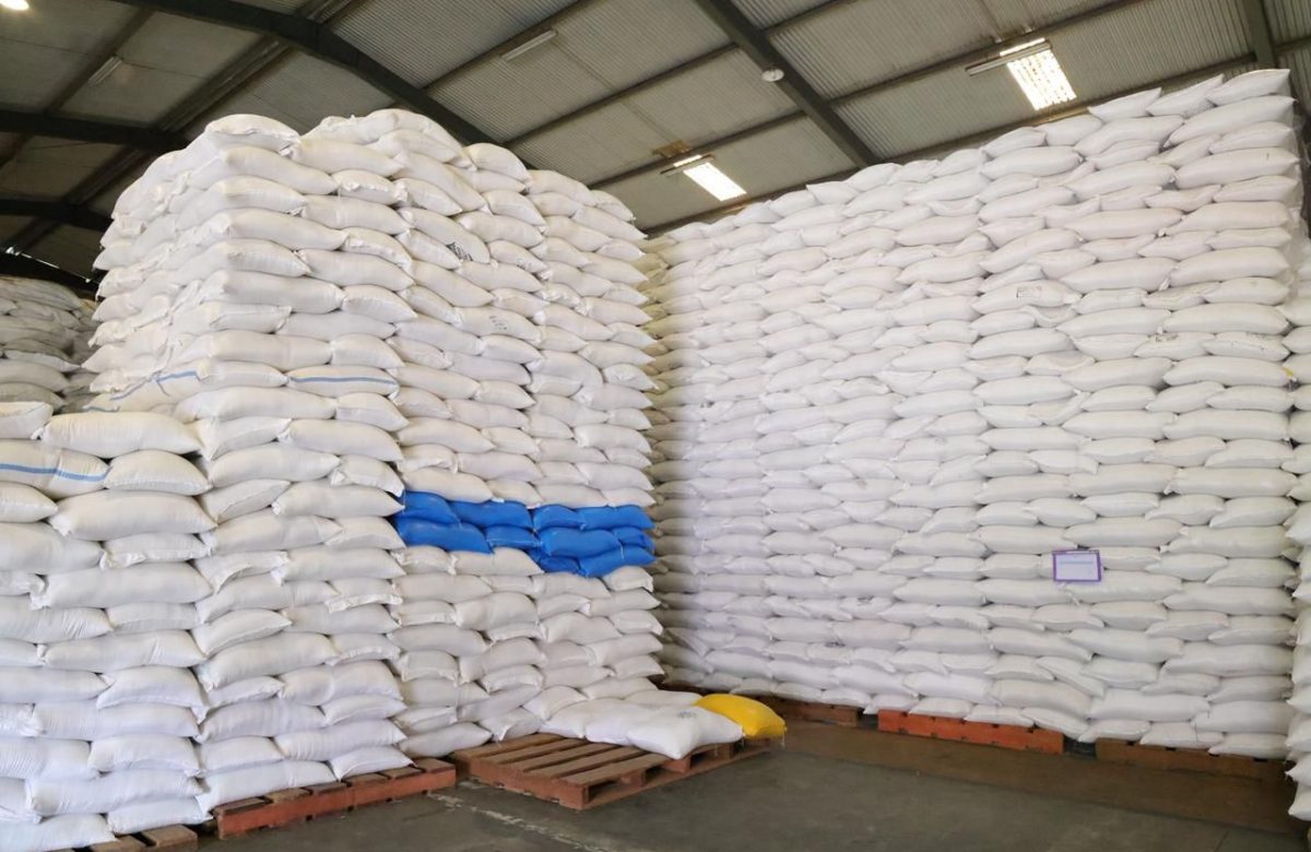 Indonesia Ekspor Beras ke Arab Saudi dan Salurkan Bantuan ke Palestina, Bukti Produksi Kuat dan Stok Nasional Aman