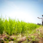 Kementerian Dukung Percepatan Klaim AUTP di Lamongan, Tegaskan Perlindungan Petani untuk Jaga Produksi