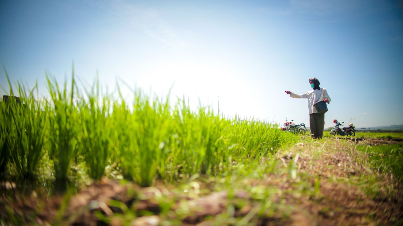 Kementerian Dukung Percepatan Klaim AUTP di Lamongan, Tegaskan Perlindungan Petani untuk Jaga Produksi