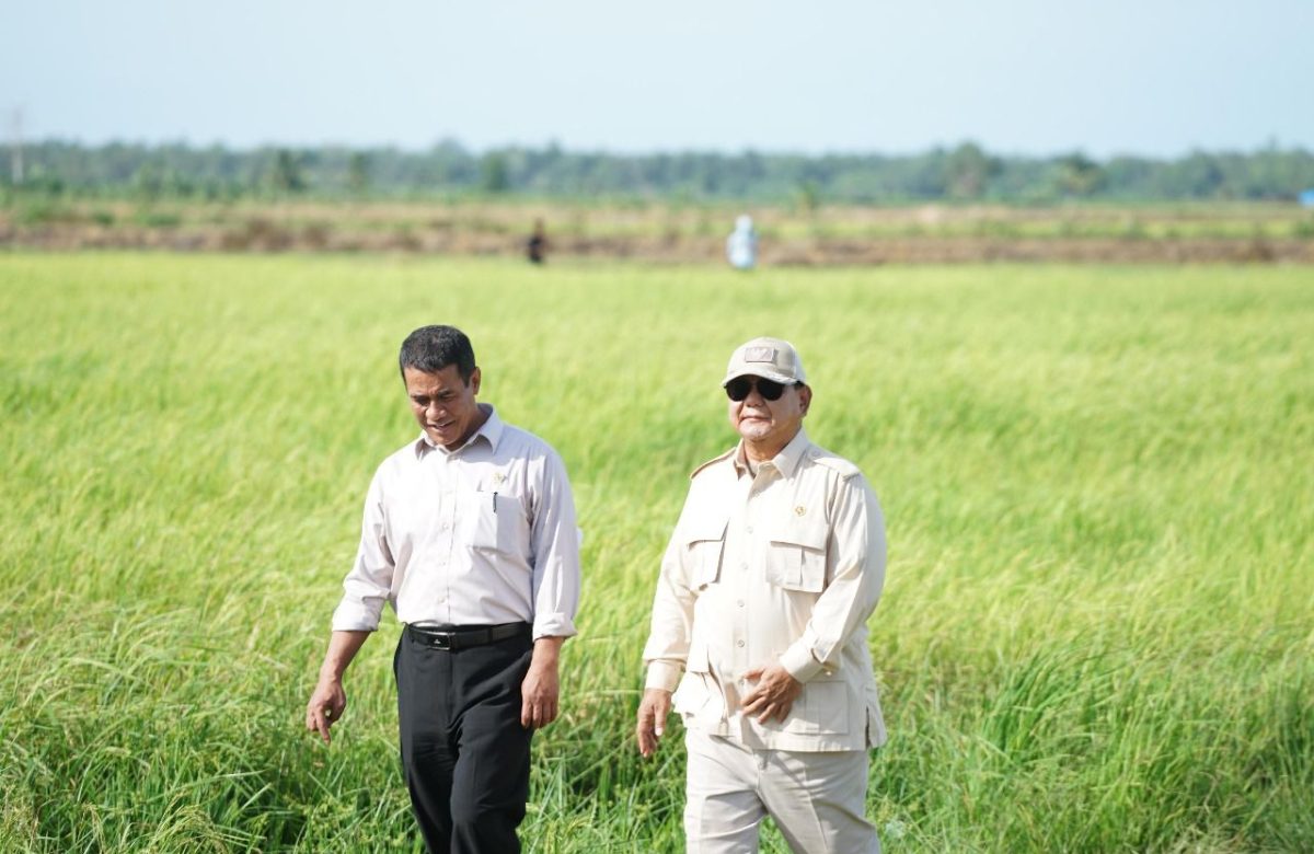 Bank Indonesia: Pertanian Jadi Tulang Punggung Ekonomi, Bukti Nyata Sektor Pangan Semakin Kuat