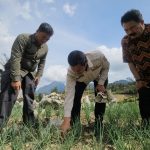 Hadapi El Nino, Kementan Percepat Transformasi Pertanian Lahan Kering di Enrekang melalui Program HDDAP
