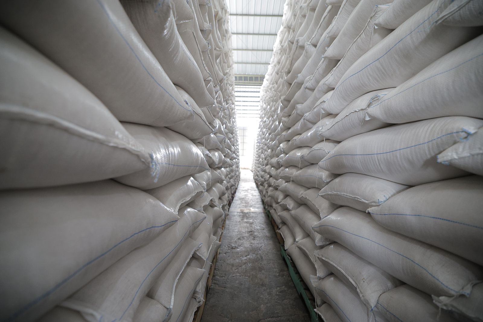 Swasembada Beras Nyata: Produksi Naik Tajam, Stok Muat, Tanpa Impor