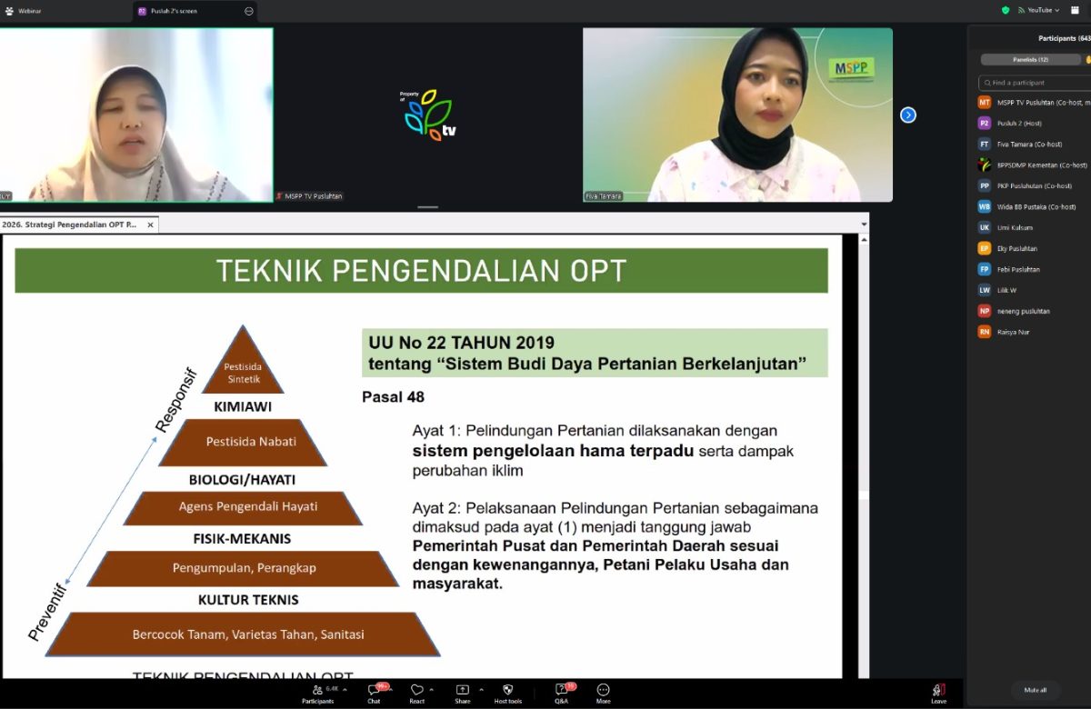 Kementan Perkuat Penyuluh Hadapi Hama Padi di Musim Kemarau