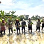Antisipasi Kemarau, Kementan Percepat Tanam Serempak di Kabupaten Deli Serdang