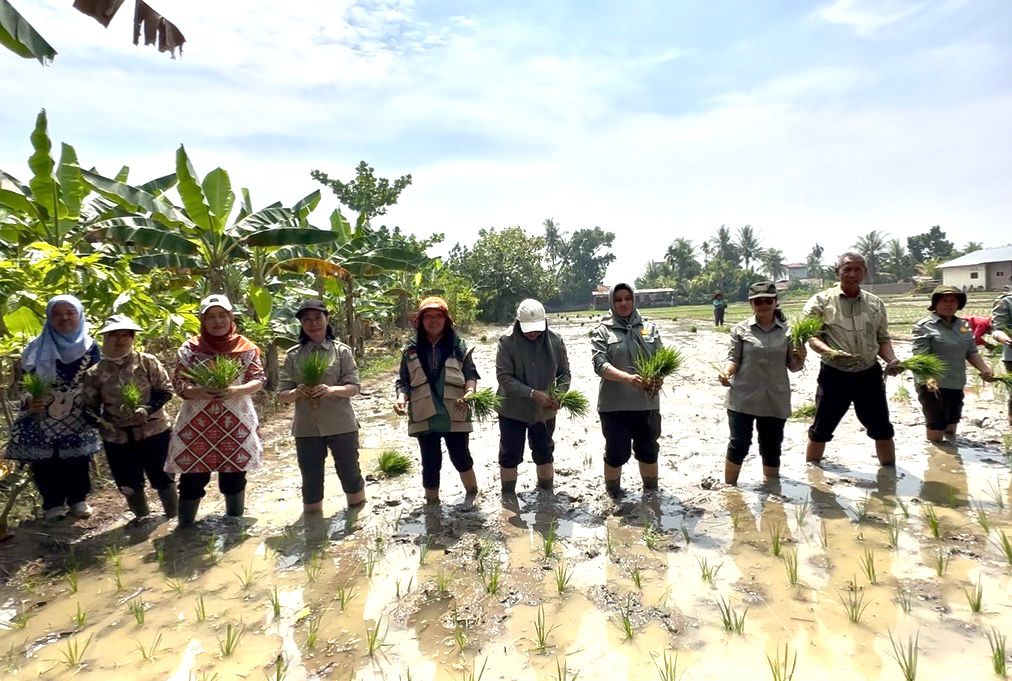 Antisipasi Kemarau, Kementan Percepat Tanam Serempak di Kabupaten Deli Serdang