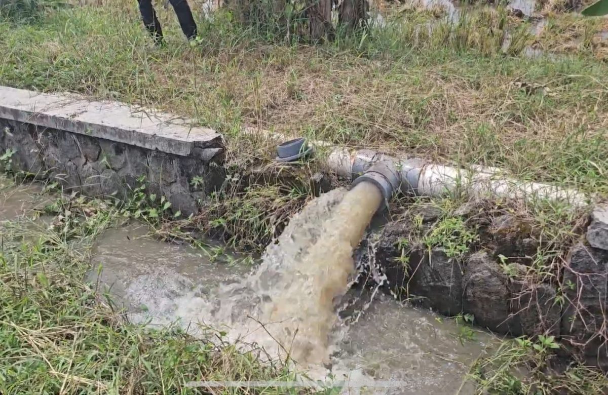 Hadapi Tantangan Iklim, Kementan Andalkan Pompanisasi untuk Kejar Tanam di Sukoharjo