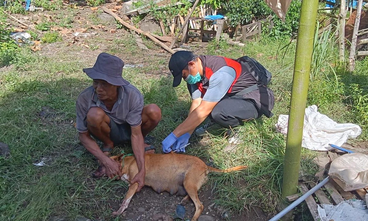 Kementan Gerak Cepat Tangani Kasus Rabies di Maros, Vaksin Darurat Langsung Diterjunkan