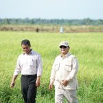 Produksi Pangan Yang Konsisten Jadi Kunci Petumbuhan Ekonomi dan Stabilitas Inflasi
