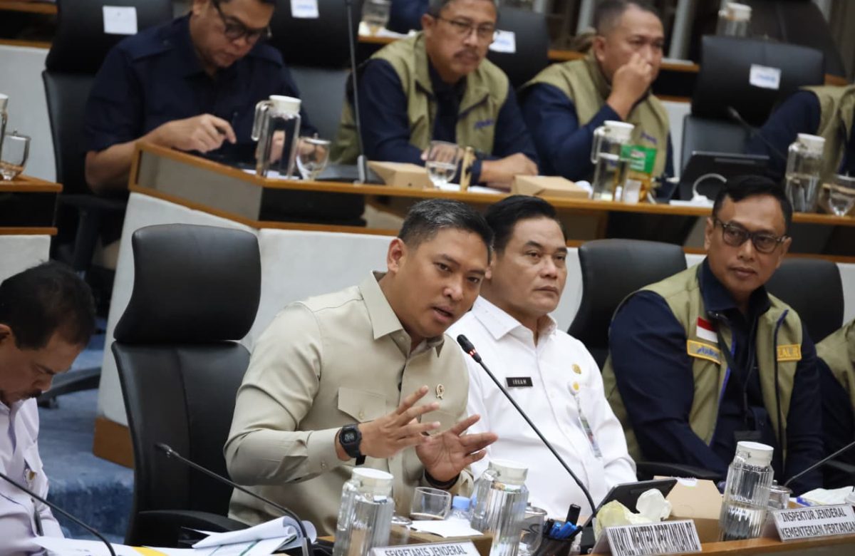 Wamentan Sudaryono: Stok Beras Melimpah, Indonesia Siap Perluas Ekspor dan Bantu Negara Sahabat