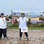 Kementan Akselerasi Tanam Serentak 50 Ribu Hektare untuk Jaga Produksi Pangan Nasional
