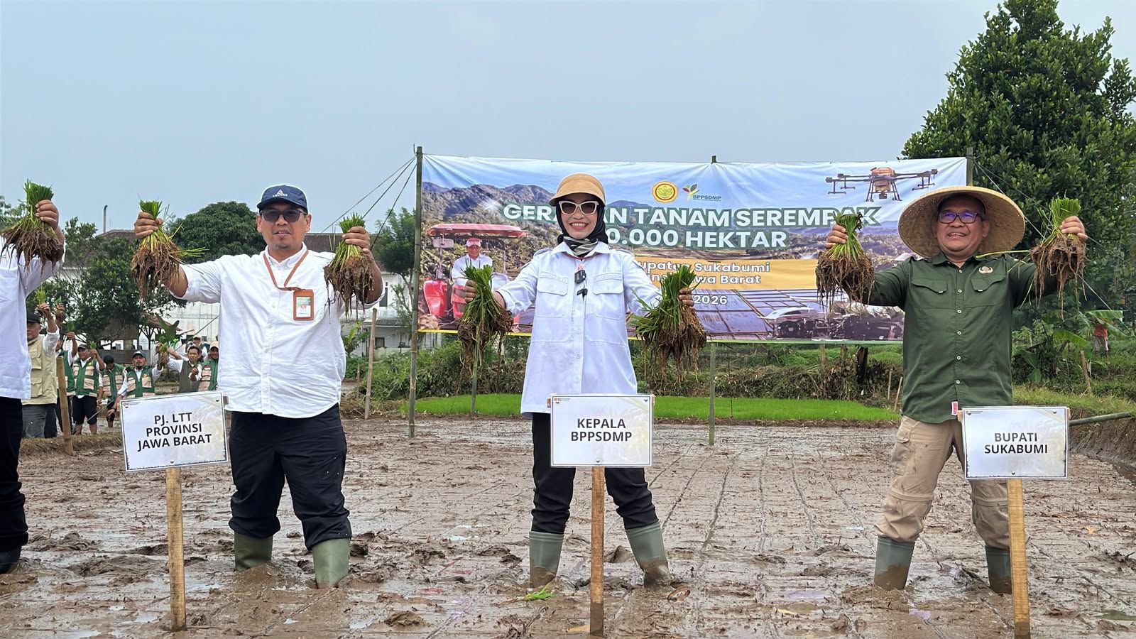 Kementan Akselerasi Tanam Serentak 50 Ribu Hektare untuk Jaga Produksi Pangan Nasional