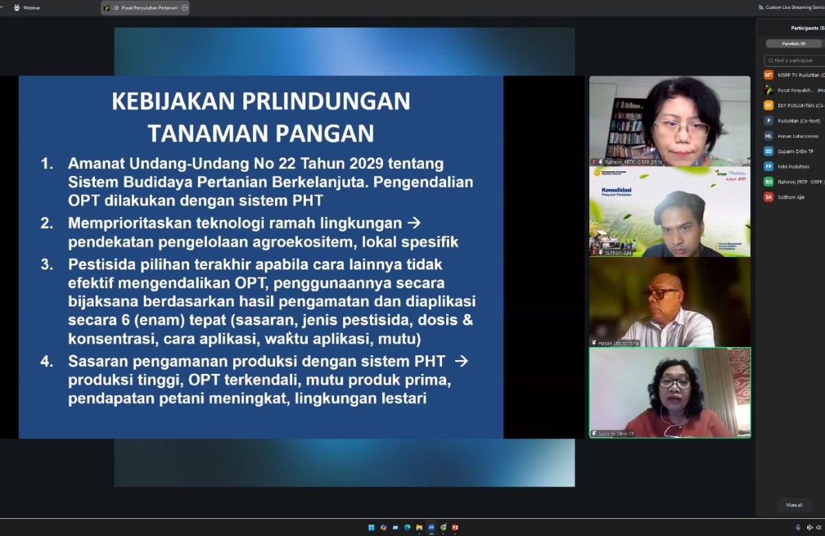 Tingkatkan Produktivitas Padi dan Jagung, Kementan Optimalkan Pengendalian Hama Tikus