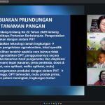 Tingkatkan Produktivitas Padi dan Jagung, Kementan Optimalkan Pengendalian Hama Tikus