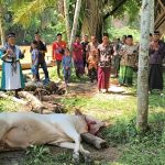 ARM HA-IPB SALURKAN SAPI KURBAN KE PANTAI KERA, ACEH TIMUR