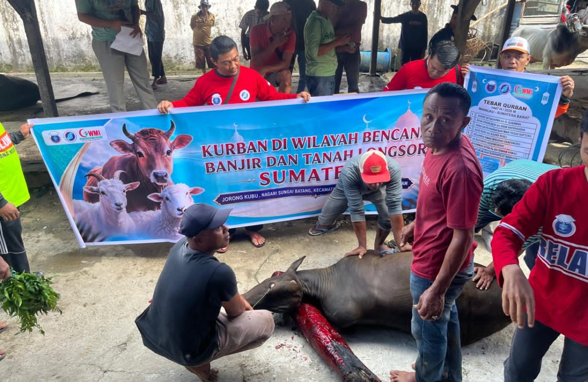 GILIRAN 280 KELUARGA DI JORONG KUBU, AGAM TERIMA SAPI KURBAN ARM HA-IPB